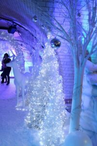 arbre de noel entreprise arbre de noël événement professionnel entreprise fête de fin d'année décoration setup lumière ambiance"